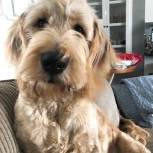 Meet your Posher, Lori